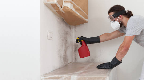 Professional Basement Mold Removal technician working in Nashville, NC